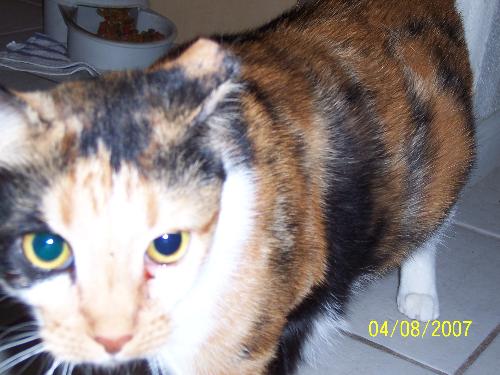 Abby - more pictures of the new family member