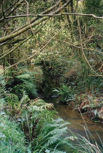 Kinglake Vic. - Kinglake in Victoria, stream Kinglake Vic. - Kinglake in Victoria, stream