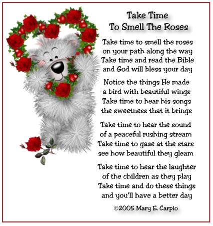 take time today - take time to stop and enjoy the day.