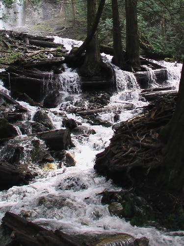 The Creek that the Falls flow into. - This is the creek that the falls flow into. It bubbles and flows over the rocks at the top end like crazy, then it smooths out somewhat down towards the parking lot.