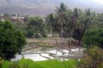 Bali Indonesia - Bali rice field system