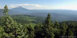 Southern Oregon Panaramic View - Southern Oregon Trees and Mountains in a panoramic frame. Southern Oregon Panaramic View - Southern Oregon Trees and Mountains in a panoramic frame.