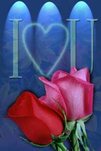rose love - love
