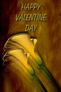 valentine's day flower - flower of valentine's day