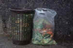 trash - how to tame trash trash - how to tame trash
