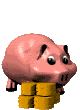 piggie bank cash - piggy back with coins beside it