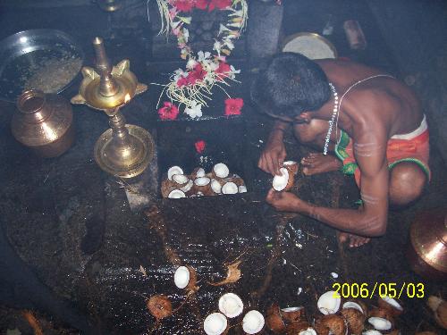 udbhav mooduganapathi - this photo shows the ganesh idol automatically growing every 3 years and is in a single saligram stone belived to be worshipped by a saint and also a rakshasa. here serpent and rat live together and what ever wish you pray will come true by offering 125 cocanuts by doing the traditional mooduganapathi pooja were the cocanuts are broken in 2 halves and put inside the 1x1 feet square hole inside were the ganesha statue is growing.