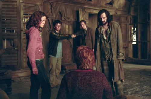 Sirius - Image of Gary Oldman as he plays the character of Sirius Black in the Harry Potter Movies along with several other characters