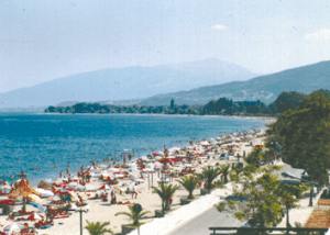 Vacations in Greece! Leptokaria at summer! - Vacations in Greece! Leptokaria at summer!
