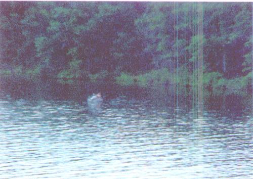AuSable River - My sister took this picture of some boaters on the AuSable River in Northern Michigan. The AuSable River winds through the Huron National Forest and is a great place for fishing, boating, tubing or canoeing. Many places along the river are great for hiking, trail riding, camping and hunting as well. It is a beautiful place to get close to nature.
