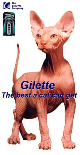 Gillette - Gillette the best,keeps you smooth and sexy.