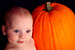 young children picture&#039;s - the baby pose a photo with a orange pumpkin