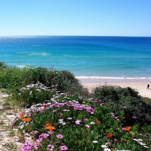 seaview - best of seaview