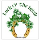 Lucky Horseshoe & 4 Leaf Clovers - Lucky horseshoe & 4 leaf clovers