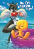 tweety - picture of tweety bird