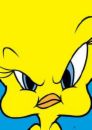 tweety - picture of tweety