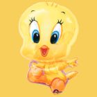 tweety - picture of tweety