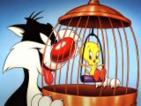 sylvester - picture of sylvester