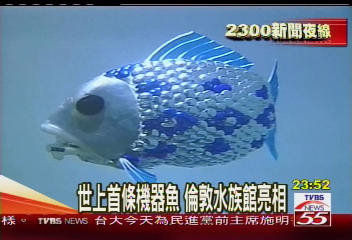 fish - this is the first 'robot fish' in this world!