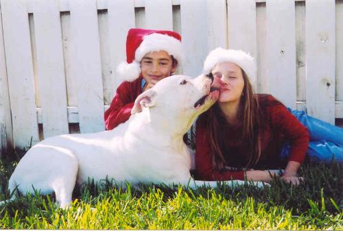 Dogs - My dog with my daughter and niece. He is an american bulldog and weighs 130 pounds. He is a great family pet and lives indoors. Our house and family is complete having him as a part of our family.