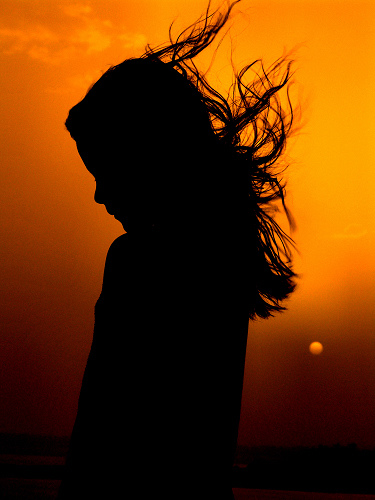 independence - The sound of tireless voices is the price we pay for the right to hear the music of our own opinions.