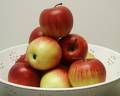 apples - this is an image of macitosh apples. 