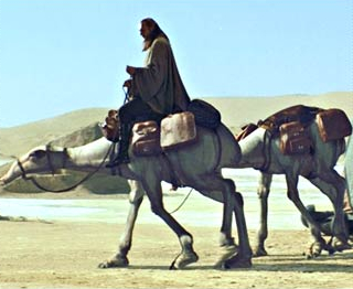 Eopie - An eopie is a stubborn beast of burden found on the desert planet of Tattooine.