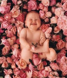 rose baby - cute baby in pink roses... smiling baby..
