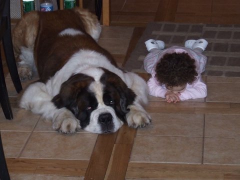baby with dog - sleeping babby with his dog beside.