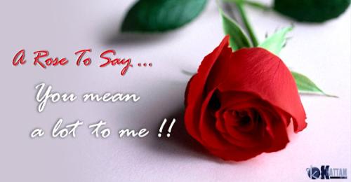 love - love is life