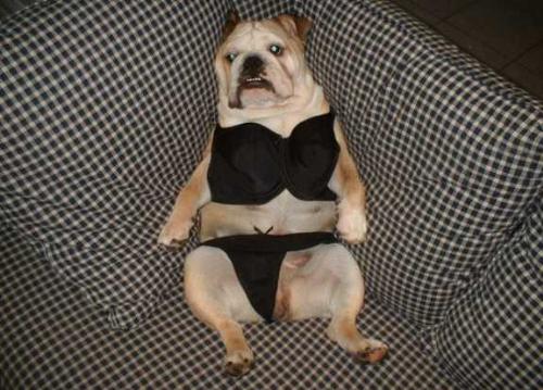 So sexy - Like in the beach.....So Sexy