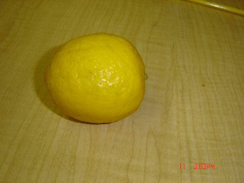 lemon - garden