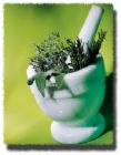 herbs  - herbal remedies