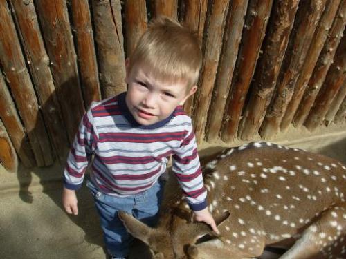 jordan - by the deer