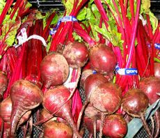 Beetroot - Fresh beetroot from my garden