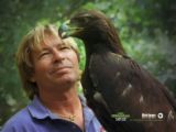 John Denver - John Denver image and a hawk