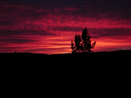 sunset  - This is the sunset as we were driving back from Aviemore