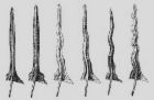 indonesia traditional weapon - and made keris weapon