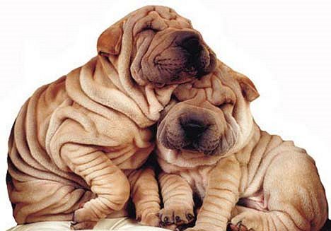 love is eternal - so no matter how look i will ove u my whole life