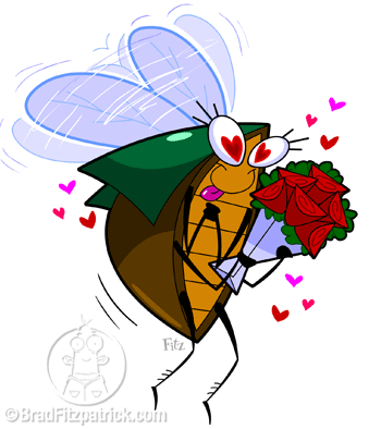 luv bug - love