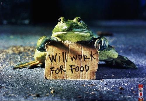 food - df