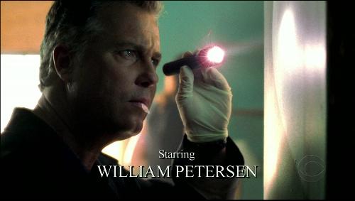William Petersen - The actor William Petersen plays the insect loving team leader, Bill Grissom, of the CSI Las Vegas team.