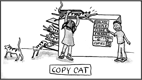 Copy cats - Copy cats.