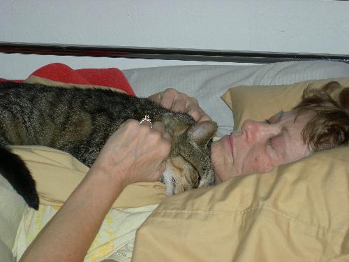 Sleeping with Sam - One of my favorite pastimes, cuddling with my older cat, Sam.