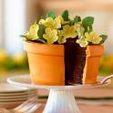 cakes - its amazing how cakes are being decorated, that makes them more tempting and beautiful.