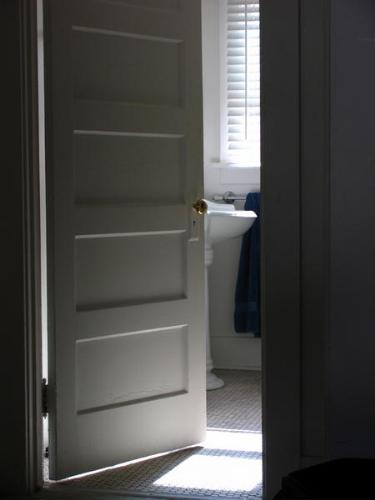 Bathroom door - A snap of a bathroom door opening (or closing) or in a steady state that is half opened and half closed. Make up your mind.