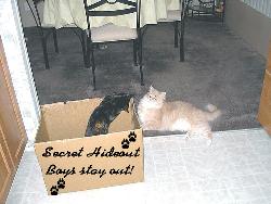 my babies - boy and girl