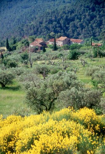 Scene from Seillans - Scene from Seillans...kool nature beauty