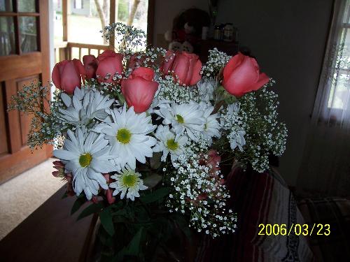 peaceful flowers - Roses and daisies, peaceful looking flowers.