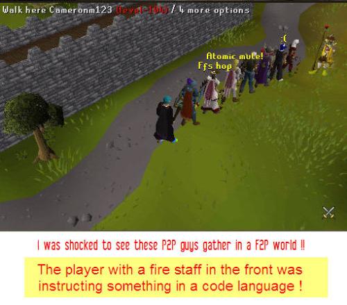 p2p army !! - I was a lvl 65 when i captured this pic. I was excited when i saw all these people (everyone is 100+). But to my sorrow, no one replied when i greeted them :(